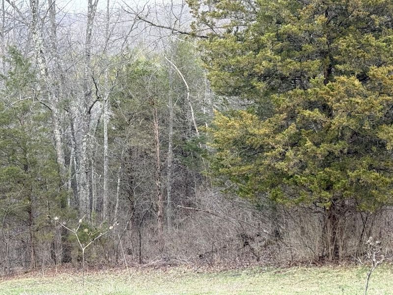 2501 Crittenden Mount Zion Road, Dry Ridge, KY 41035 Photo 17