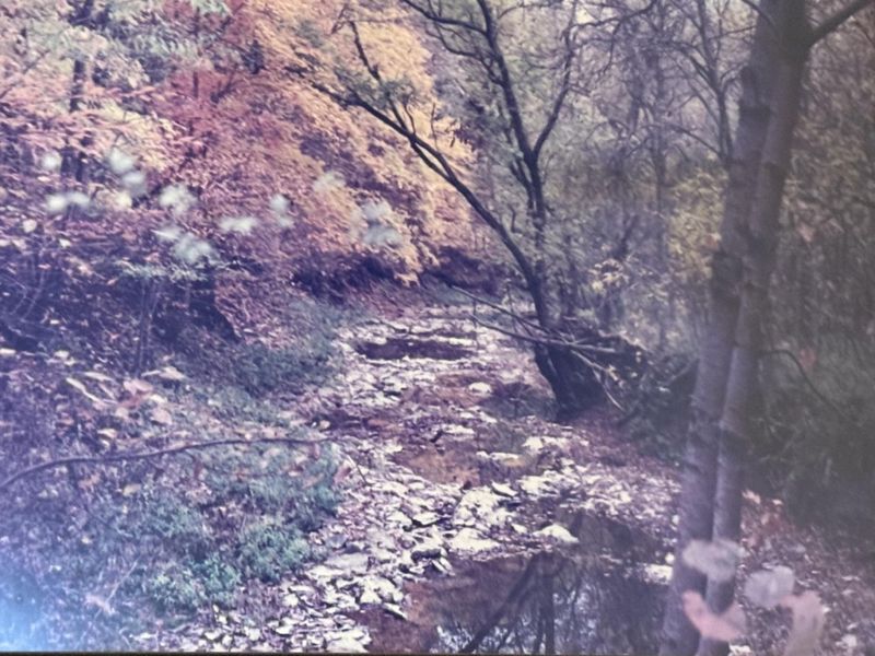 2501 Crittenden Mount Zion Road, Dry Ridge, KY 41035 Photo 18