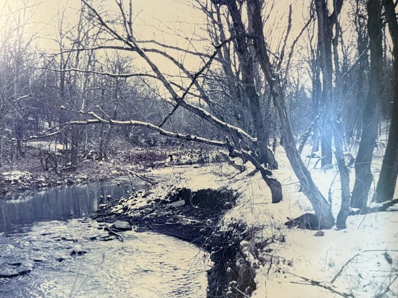 2501 Crittenden Mount Zion Road, Dry Ridge, KY 41035 Photo 19