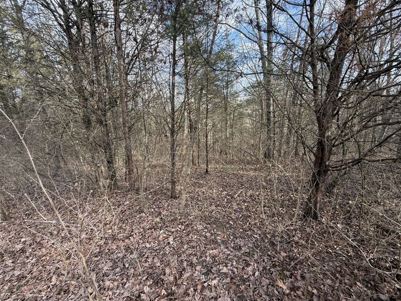 2501 Crittenden Mount Zion Road, Dry Ridge, KY 41035 Photo 5