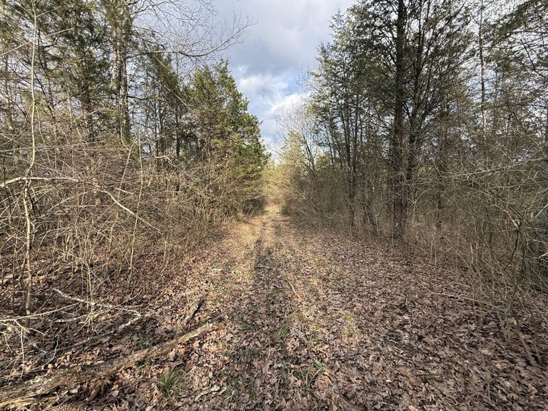 2501 Crittenden Mount Zion Road, Dry Ridge, KY 41035 Photo 6