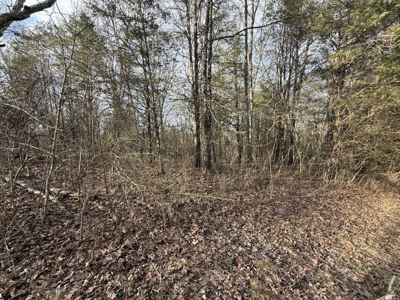 2501 Crittenden Mount Zion Road, Dry Ridge, KY 41035 Photo 7