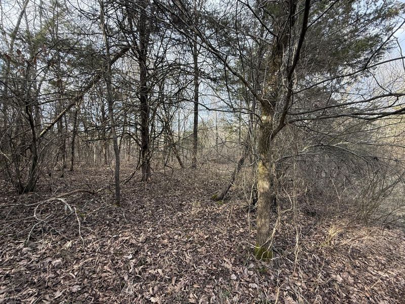 2501 Crittenden Mount Zion Road, Dry Ridge, KY 41035 Photo 8