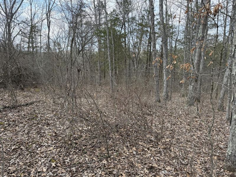 2501 Crittenden Mount Zion Road, Dry Ridge, KY 41035 Photo 9