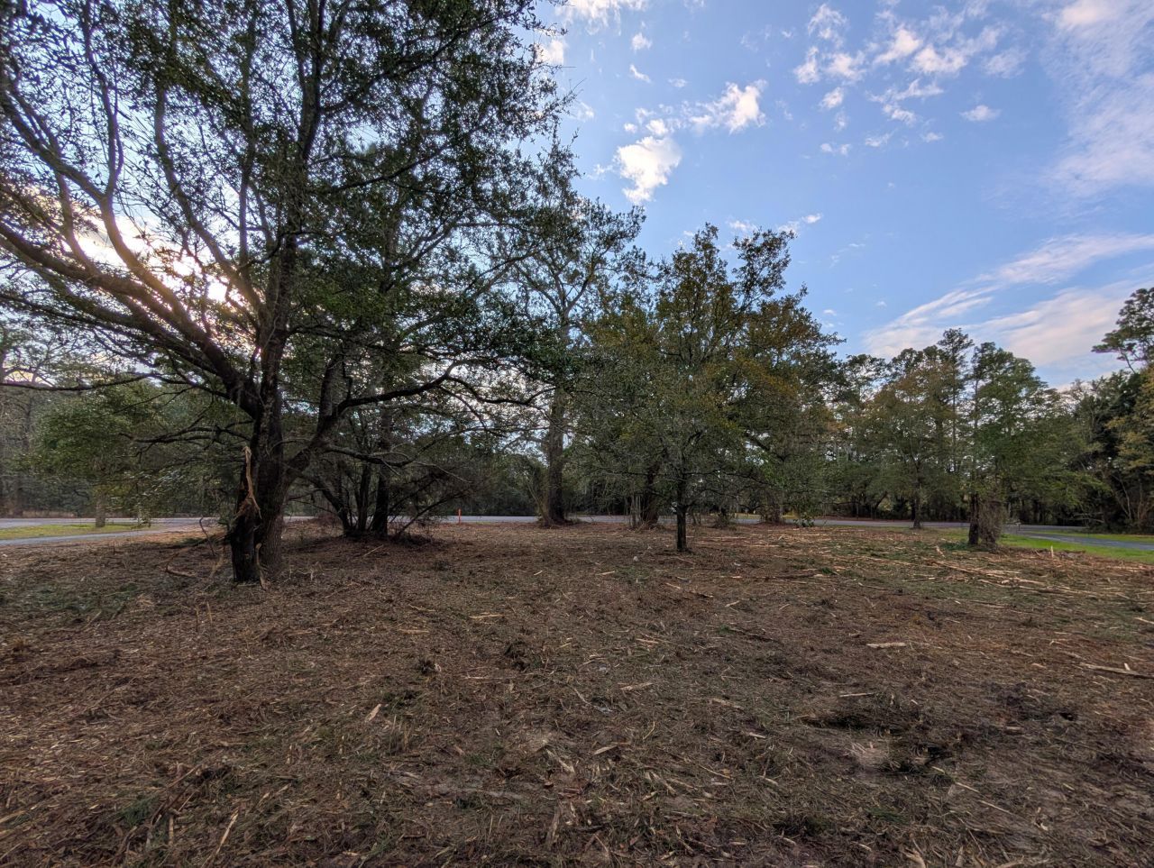 1020 Pinckney Street Photo 4