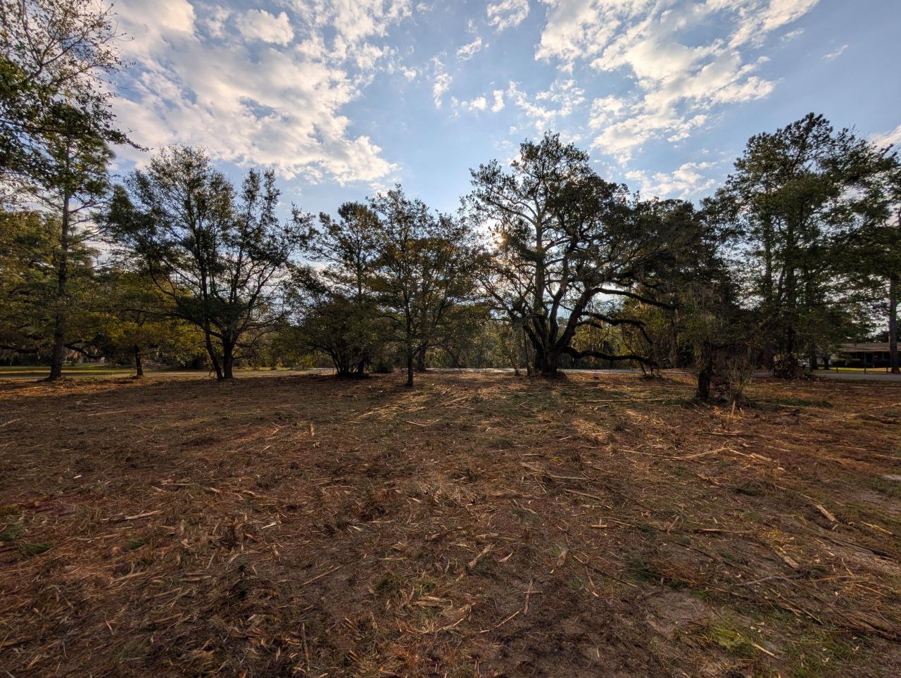 1020 Pinckney Street Photo 5