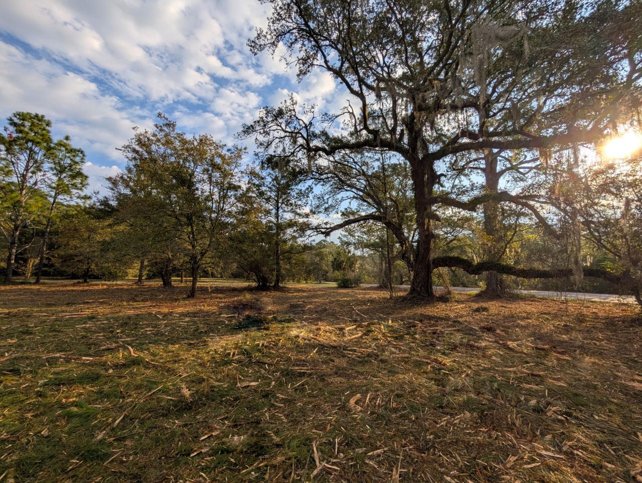 1020 Pinckney Street Photo 6