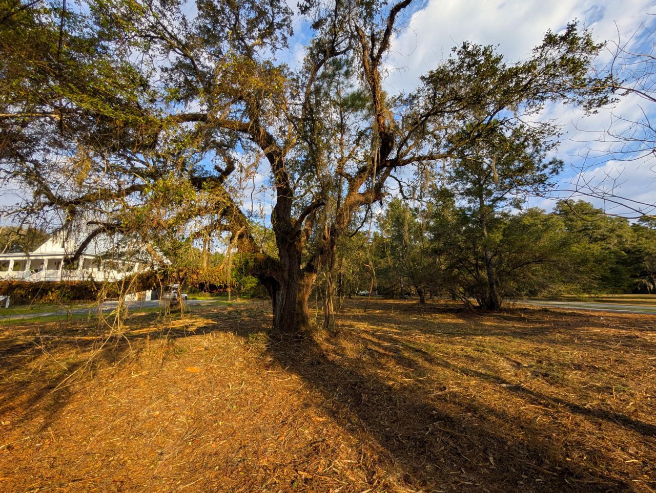 1020 Pinckney Street Photo 7