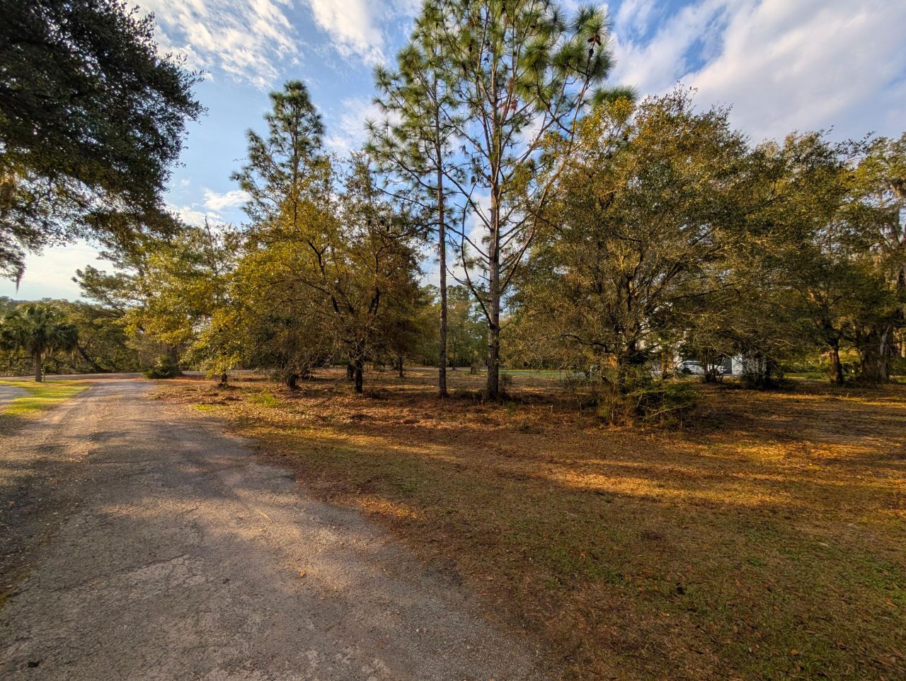 1020 Pinckney Street Photo 8