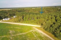 Tbd Lawson Rd. photo 4