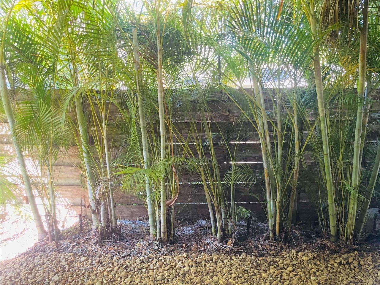 1330 S Jefferson Avenue, Sarasota, FL 34239 Photo