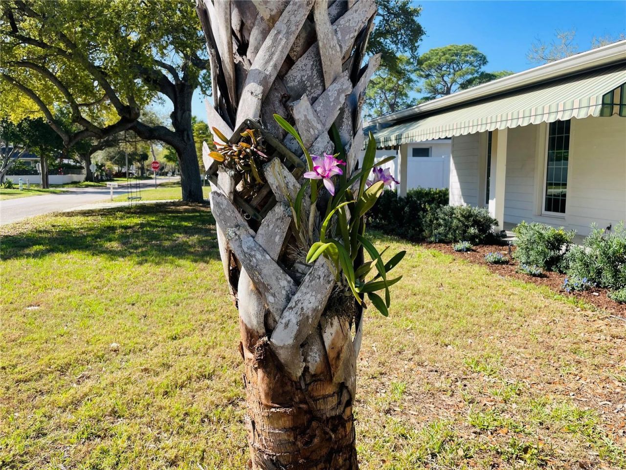 1330 S Jefferson Avenue, Sarasota, FL 34239 Photo