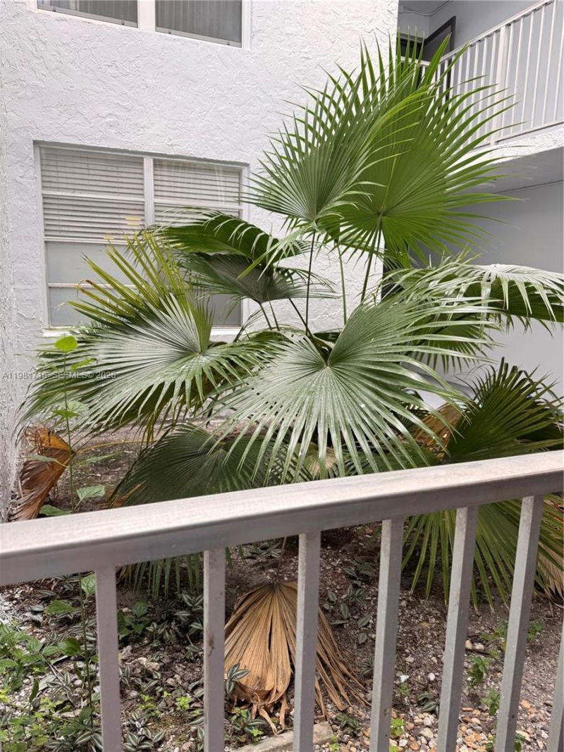 9450 Live Oak Pl , Unit 104, Davie, FL 33324 Photo