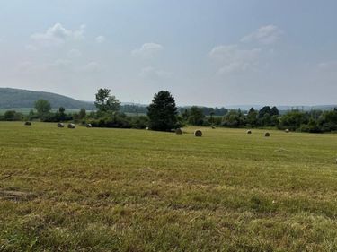 0 Beaver Dams Moreland Road, Montour Falls, NY 14865