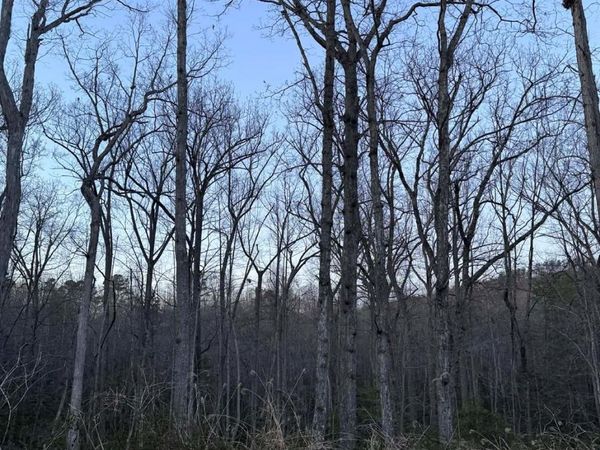 0000 Berea Avenue , Connelly Springs, NC 28612