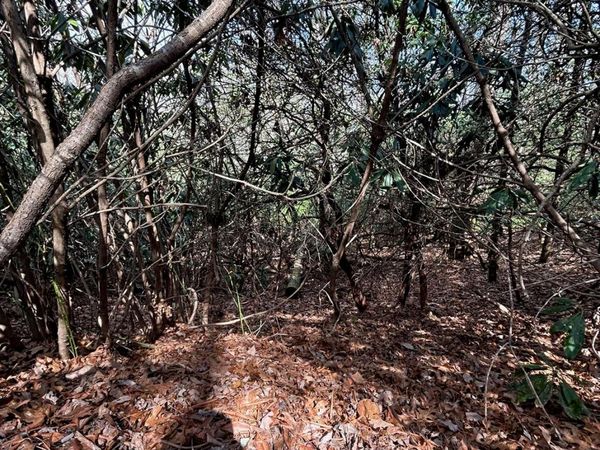 Lot 38 High Peak Road , Hendersonville, NC 28739