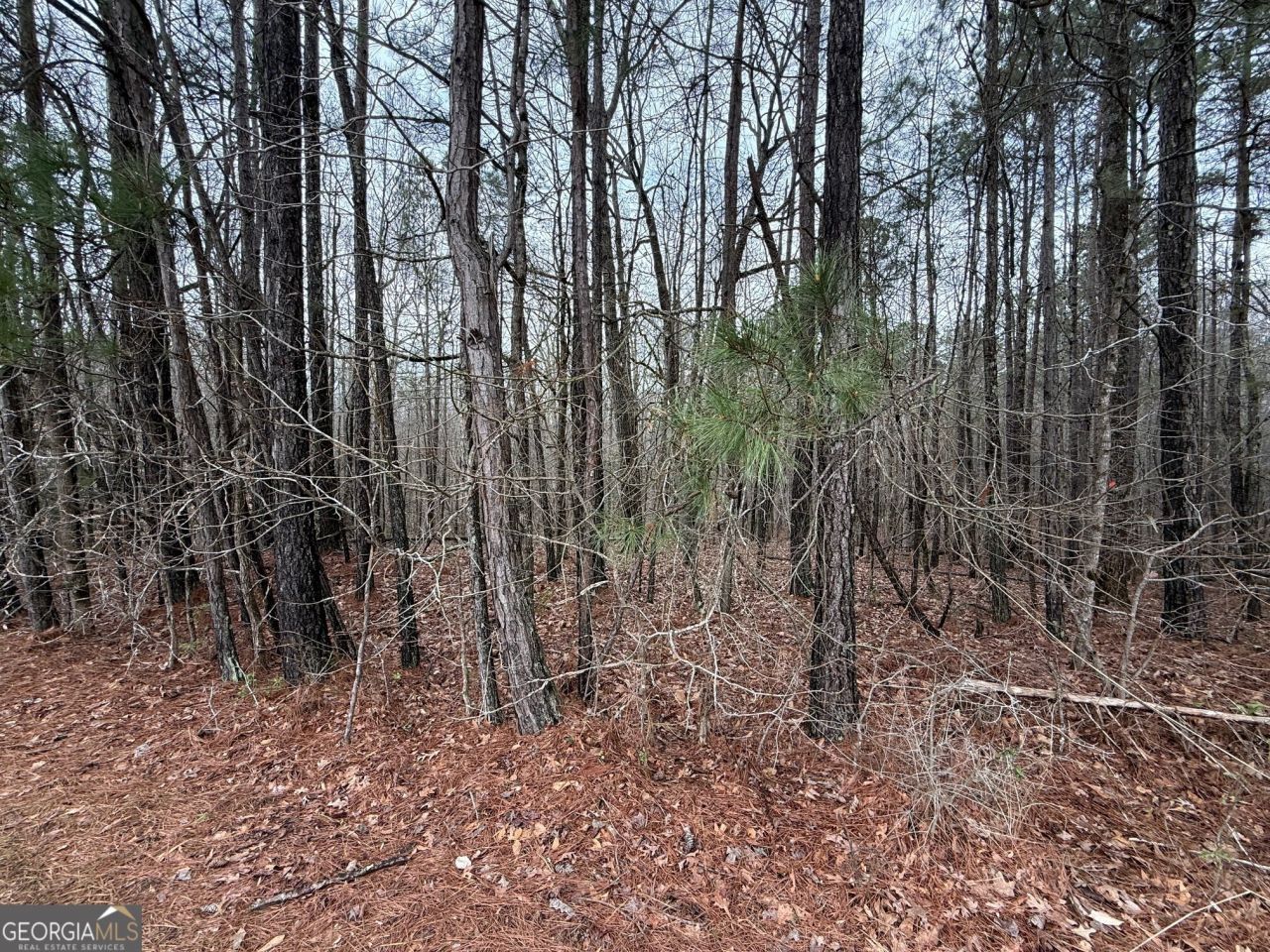 0 Cheryl Street, Unit LOTS 37,38, Luthersville, GA 30251 Main Photo