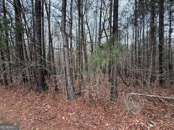 0 Cheryl Street, Unit LOTS 37,38, Luthersville, GA 30251