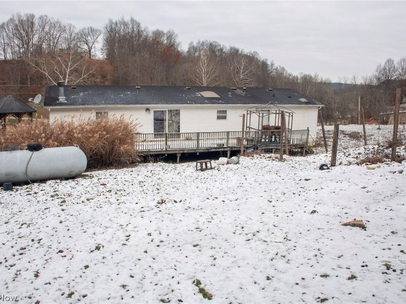 17607 Halleys, Pleasant City, OH 43772 Photo 2