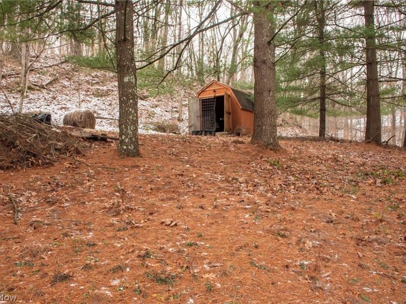 17607 Halleys, Pleasant City, OH 43772 Photo 27