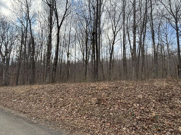 Lot 161 Quail Lane, Dunlap, TN 37327