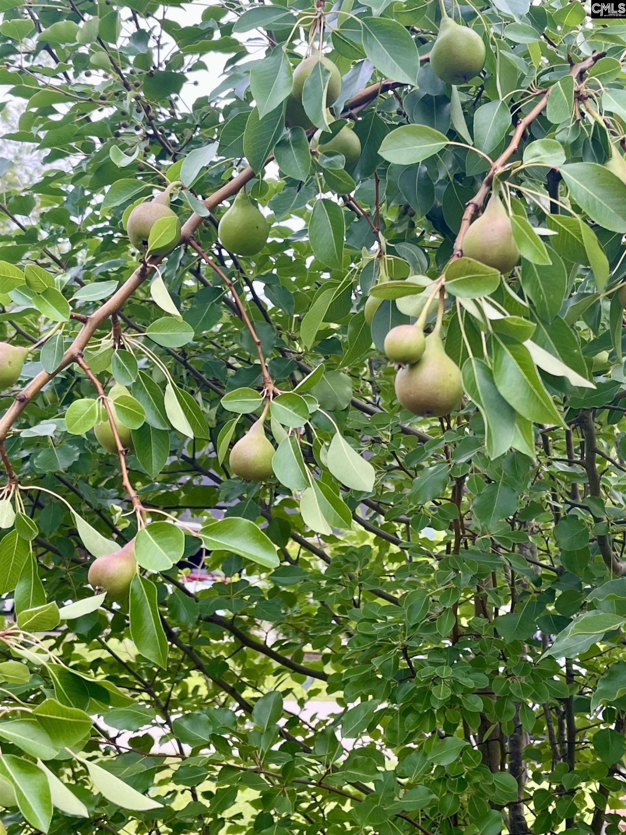 329 Deer Run Road Photo 39