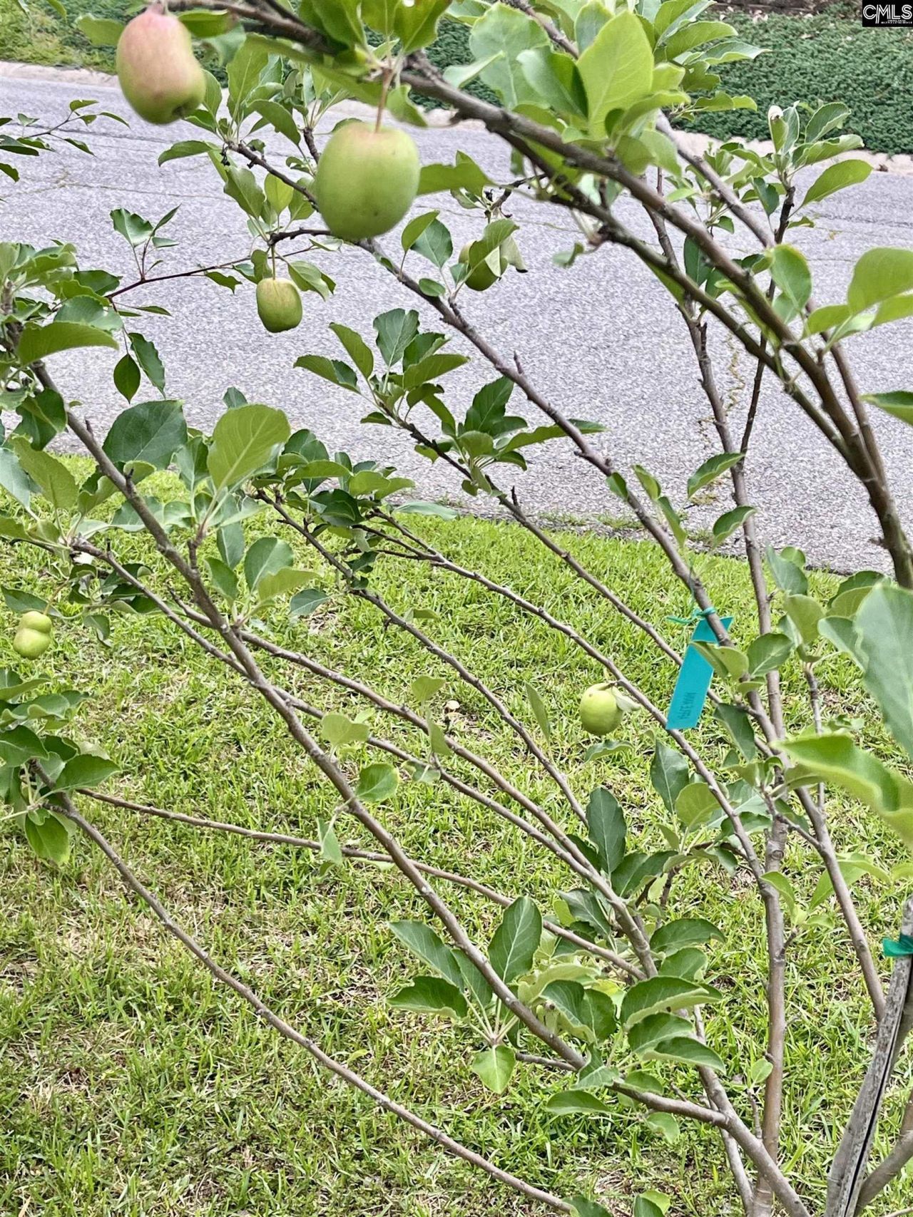 329 Deer Run Road Photo 40