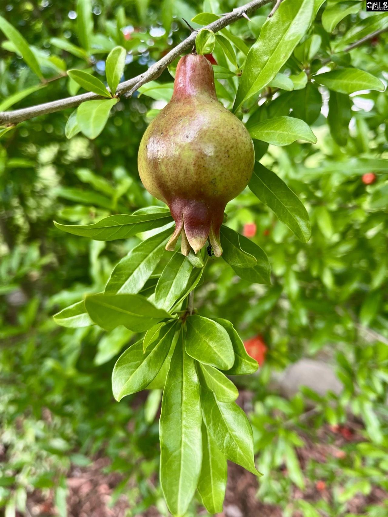 329 Deer Run Road Photo 41