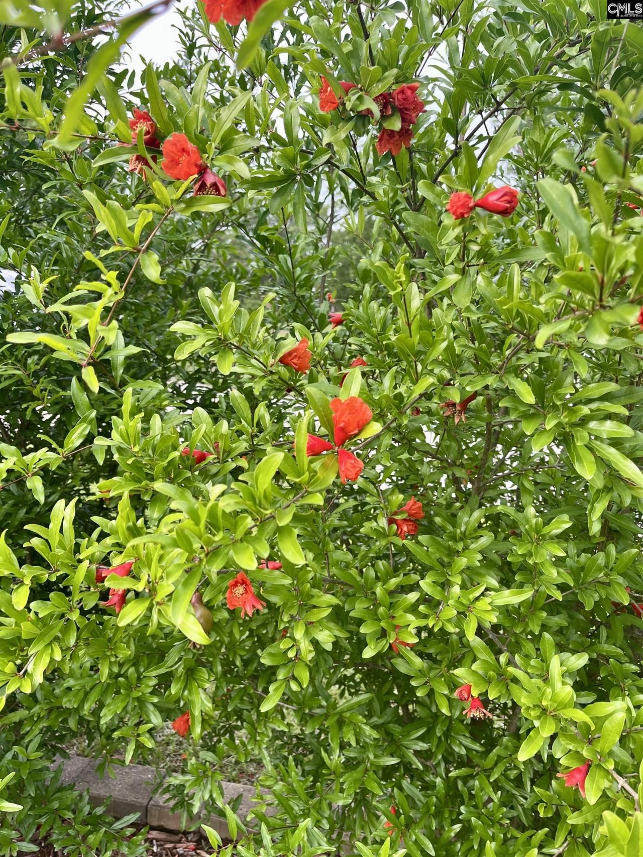 329 Deer Run Road Photo 42