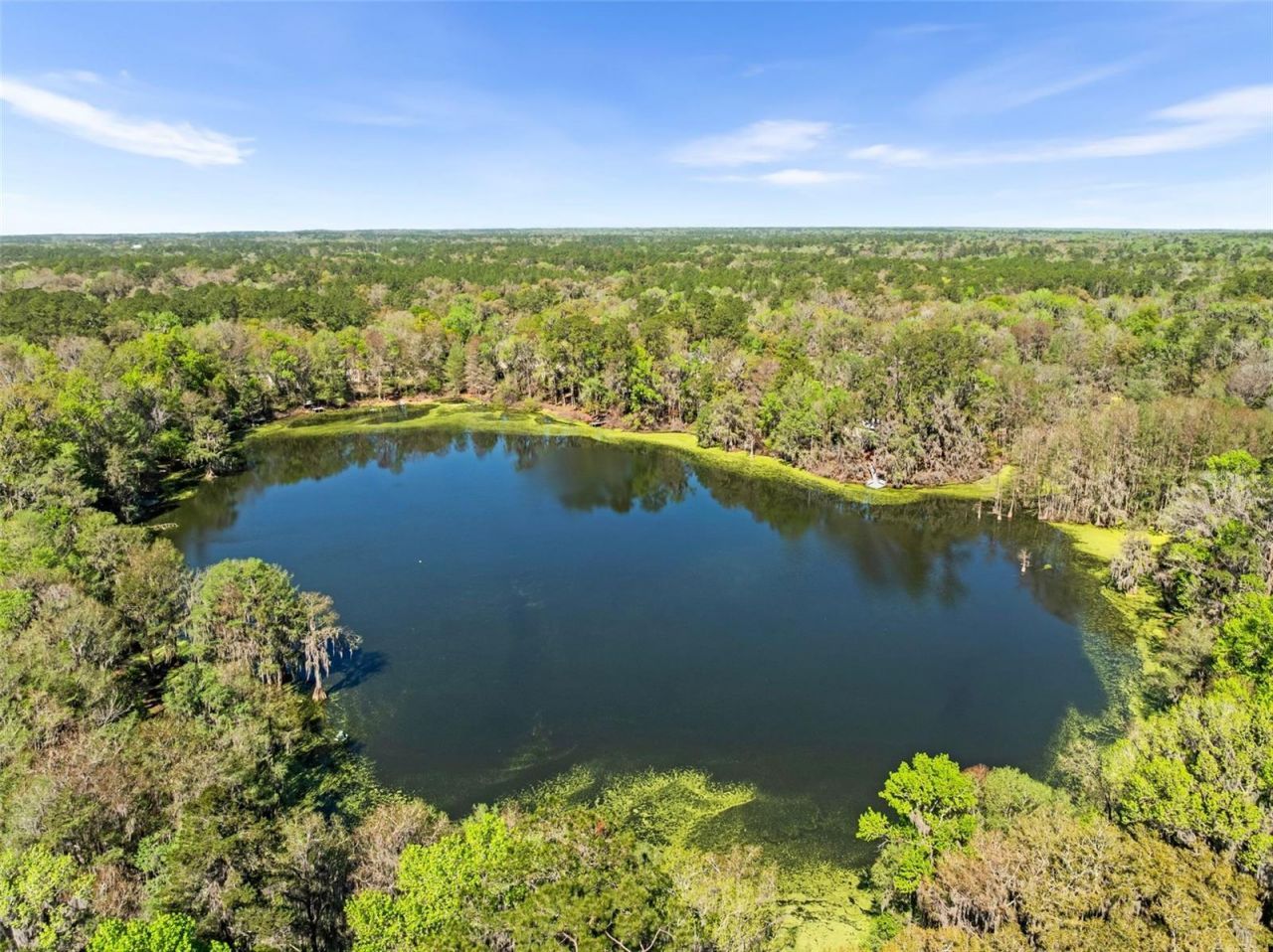 3201 NW 58th Boulevard, Gainesville, FL 32606 Photo