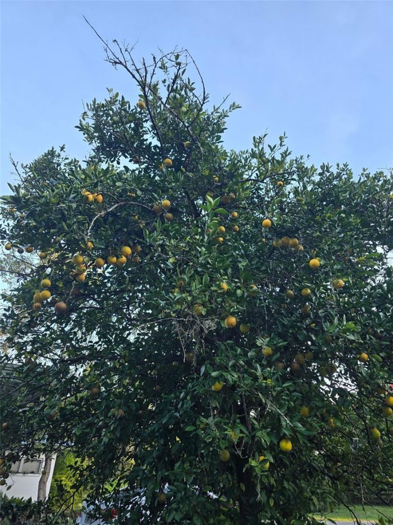 12182 SW State Road 45, Archer, FL 32618 Photo