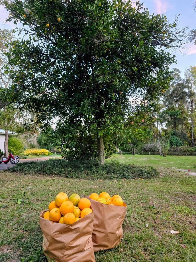 12182 SW State Road 45, Archer, FL 32618 Photo