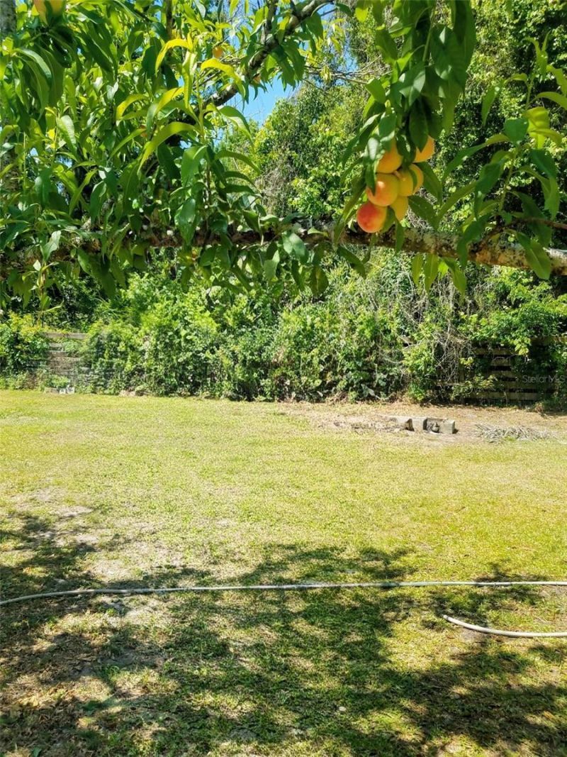 12182 SW State Road 45, Archer, FL 32618 Photo