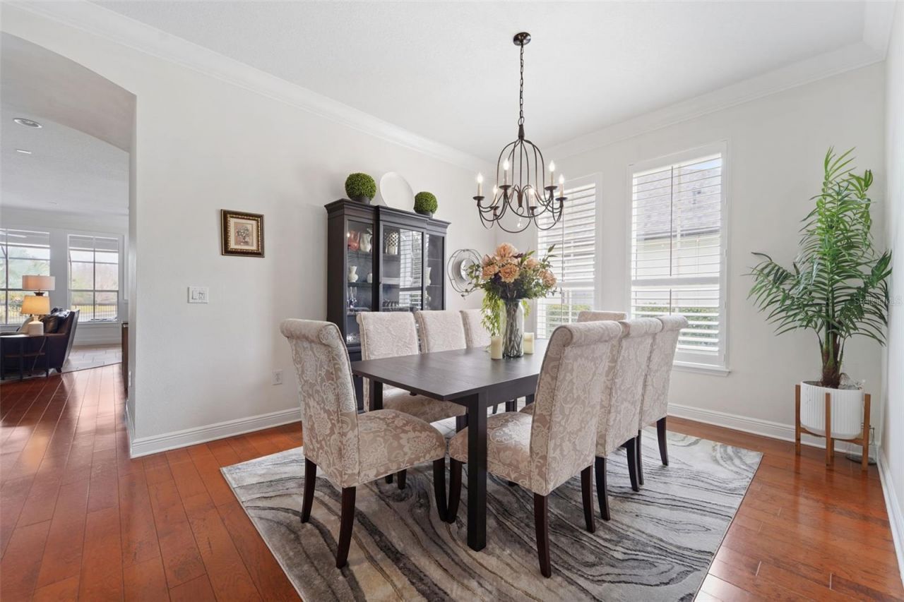 8522 Westerland Drive, Land O Lakes, FL 34637 Photo