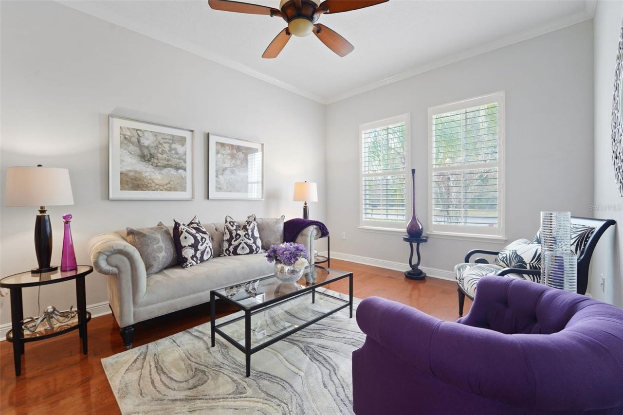 8522 Westerland Drive, Land O Lakes, FL 34637 Photo