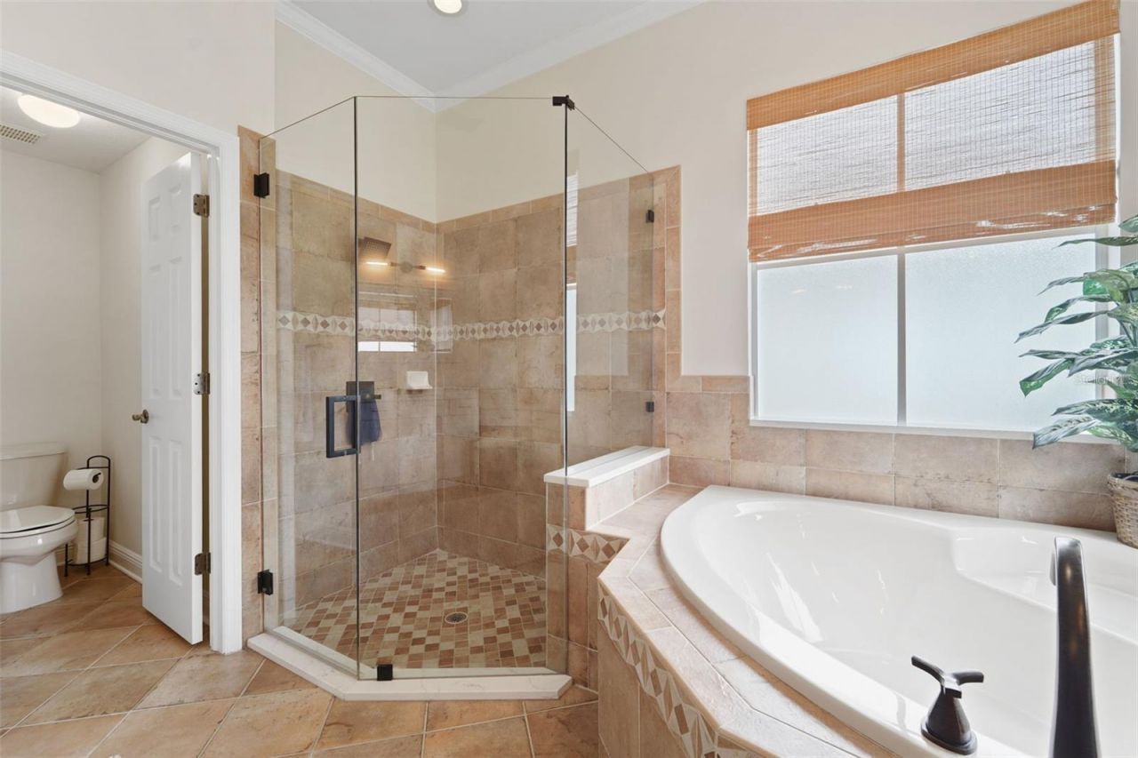 8522 Westerland Drive, Land O Lakes, FL 34637 Photo