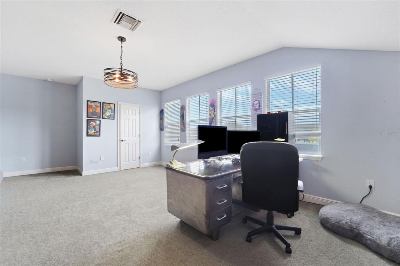 8522 Westerland Drive, Land O Lakes, FL 34637 Photo