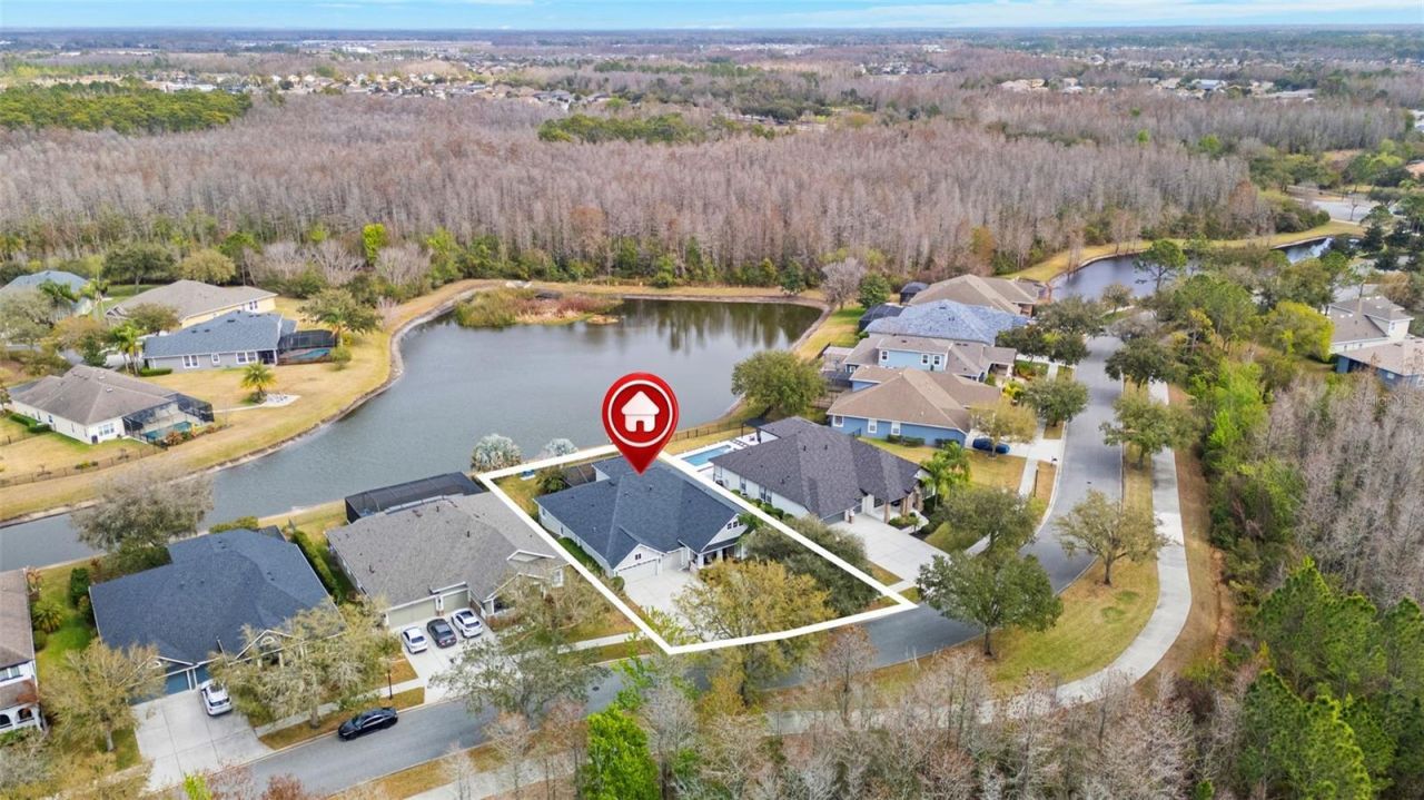 8522 Westerland Drive, Land O Lakes, FL 34637 Photo