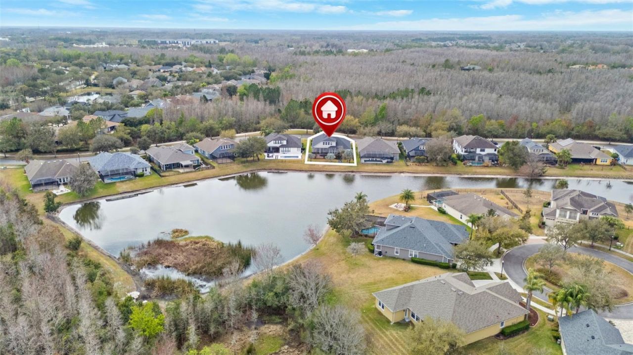 8522 Westerland Drive, Land O Lakes, FL 34637 Photo