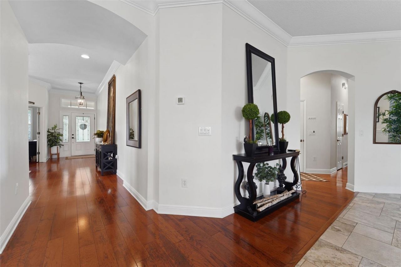 8522 Westerland Drive, Land O Lakes, FL 34637 Photo