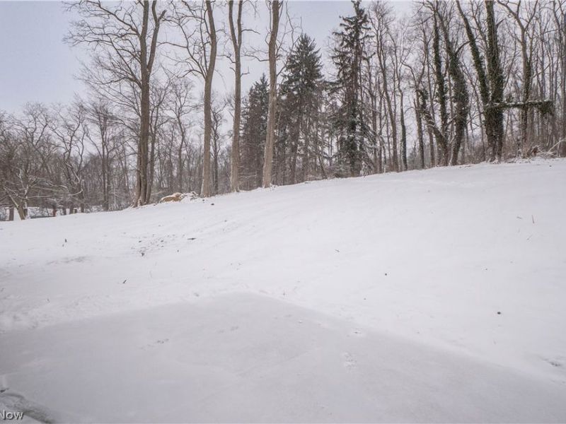 8421 Wadsworth Road , Wadsworth, OH 44281 Photo 29