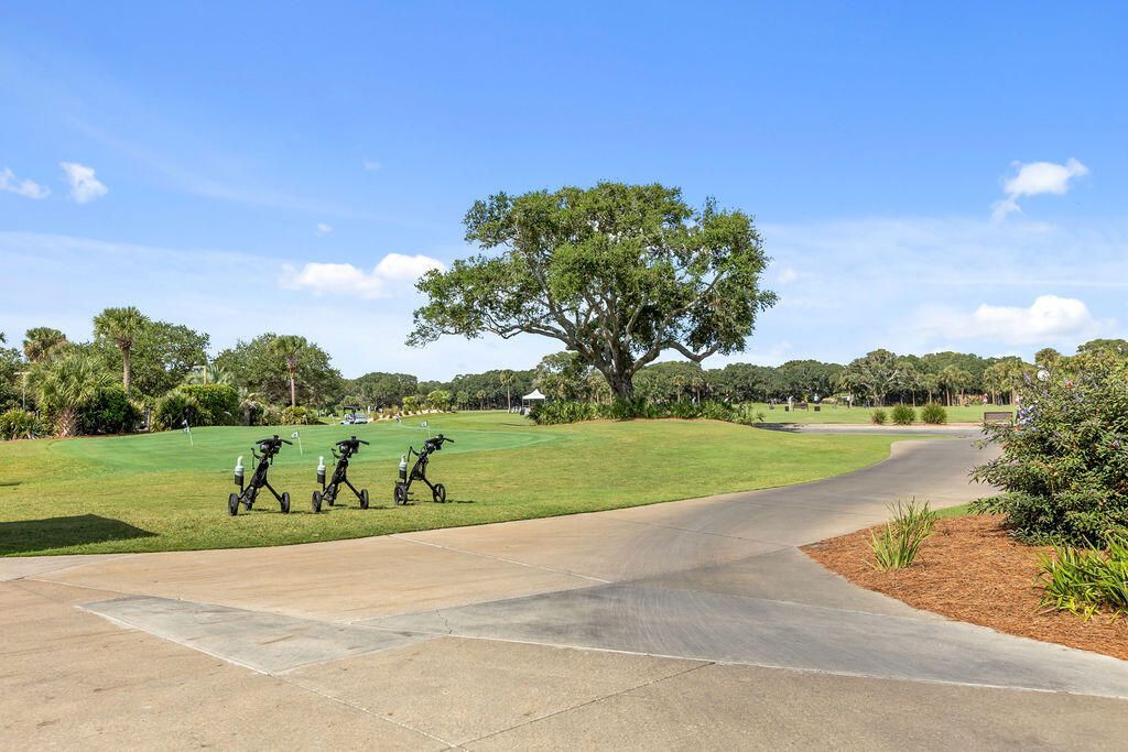 2255 Catesbys Bluff Court Photo 95