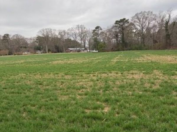 000 Ferry Road, BURGESS, VA 22432