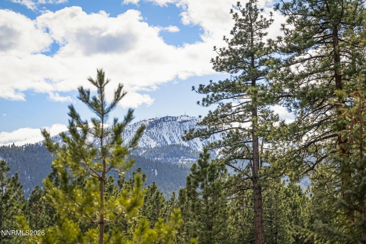 16911 Mt Rose Highway, Reno, NV 89511 Photo