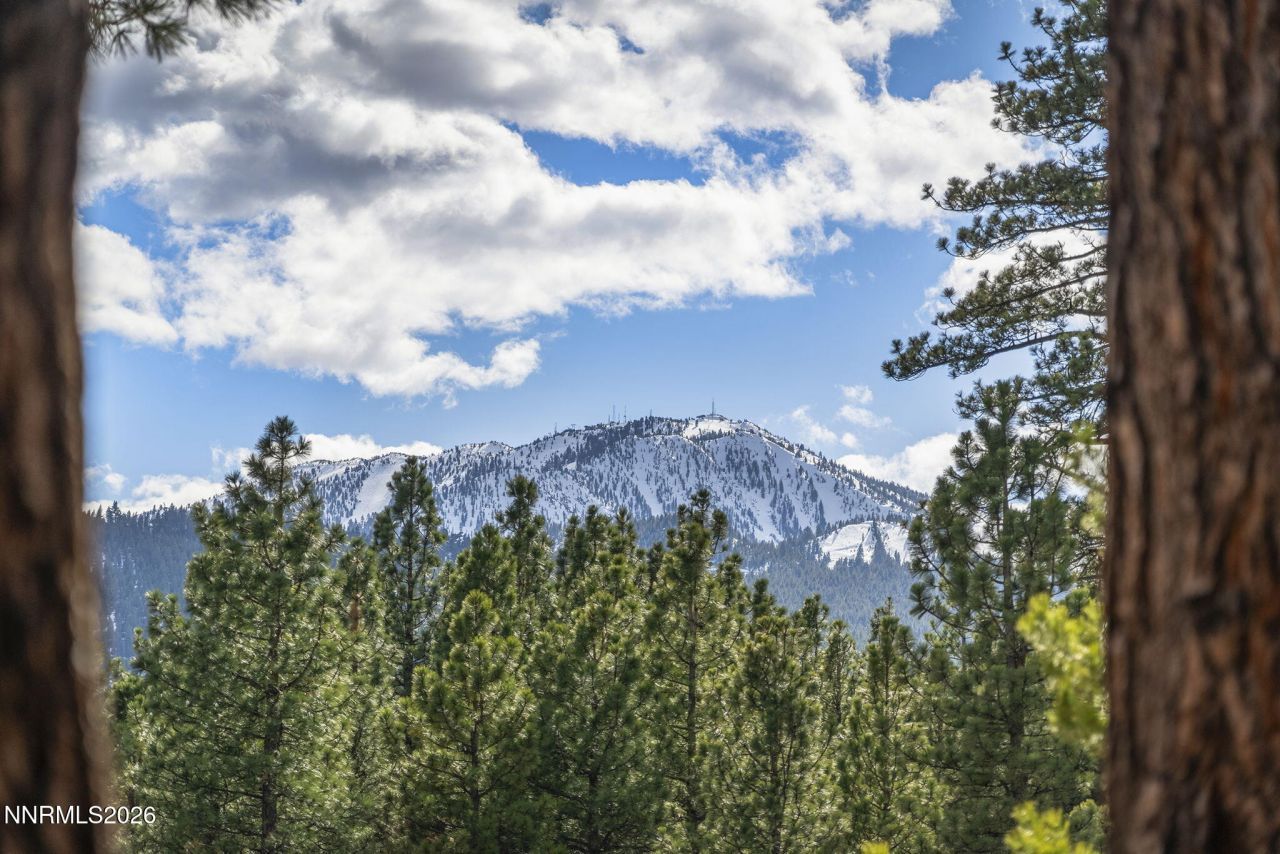 16911 Mt Rose Highway, Reno, NV 89511 Photo