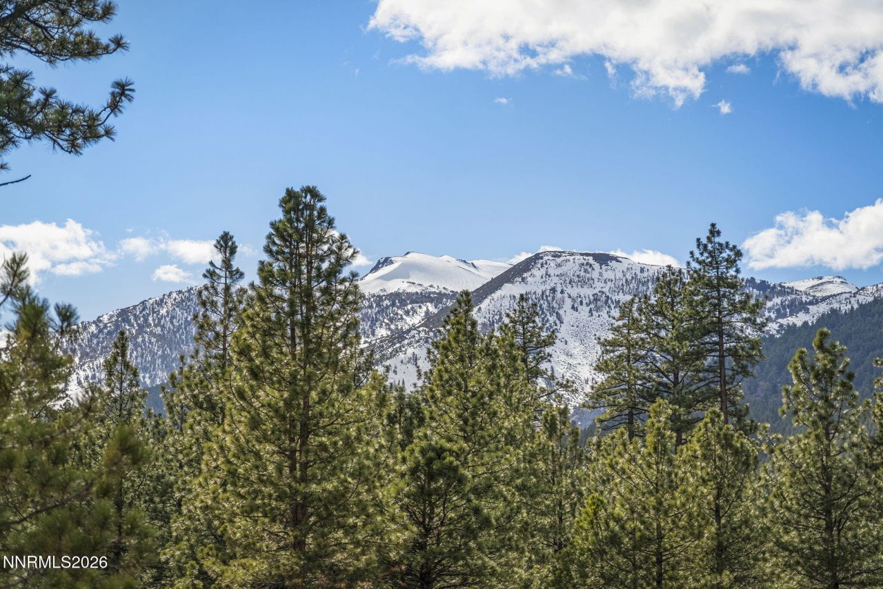 16911 Mt Rose Highway, Reno, NV 89511 Photo