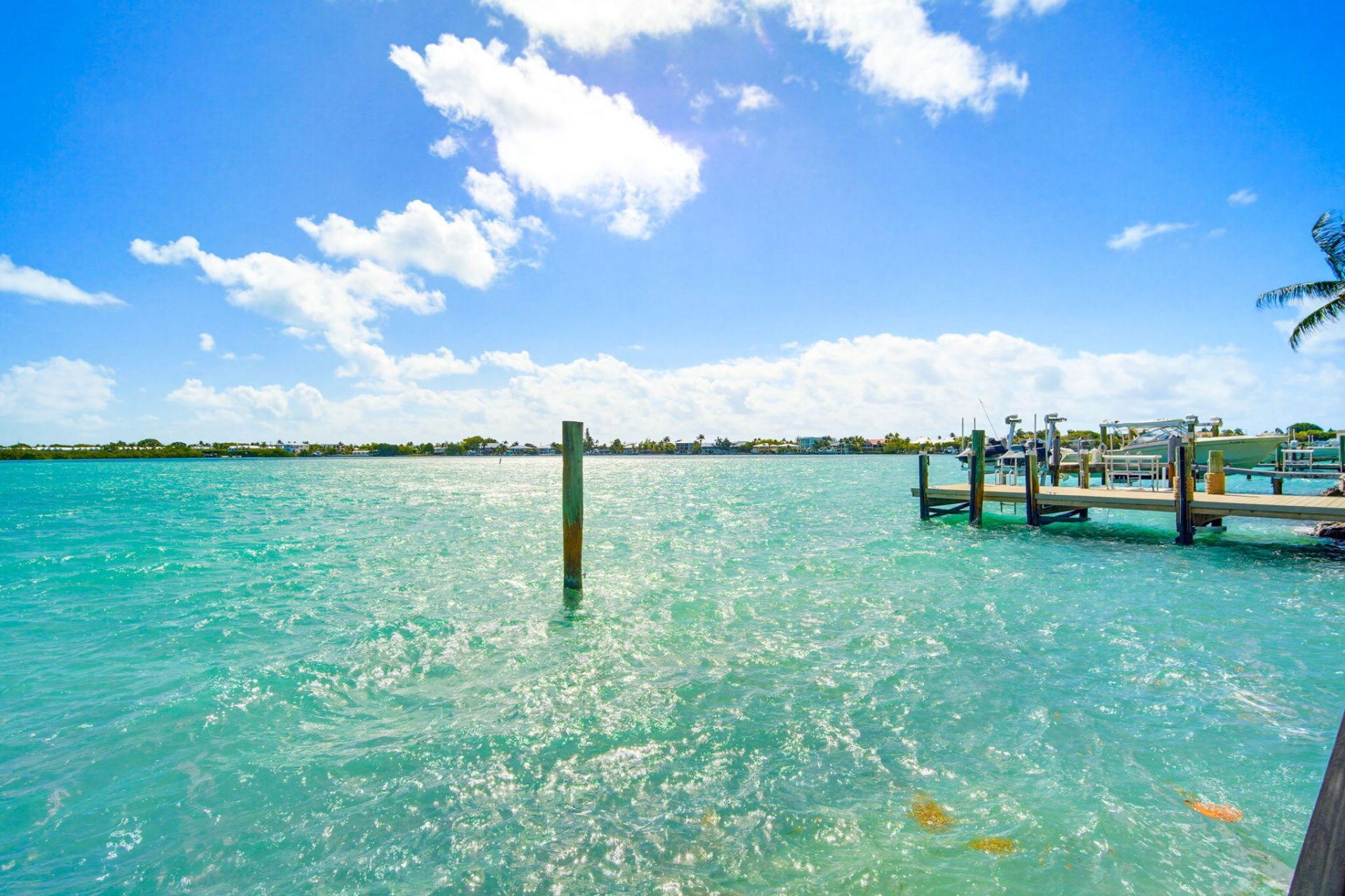 425 Harbour Drive, Duck Key, FL 33050 Photo