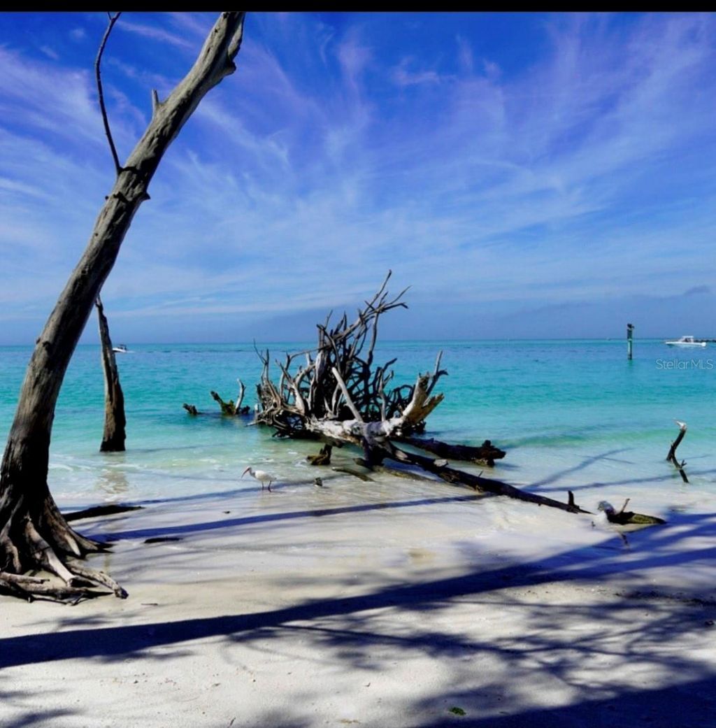 6750 Gulf Of Mexico Drive, Unit 151, Longboat Key, FL 34228 Photo