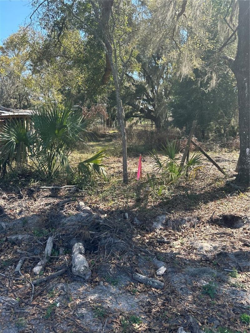 Ne 688th Avenue, Cross City, FL 32628 Photo