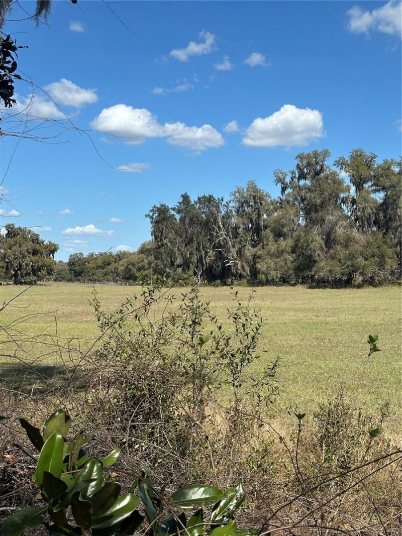 Ne 688th Avenue, Cross City, FL 32628 Photo